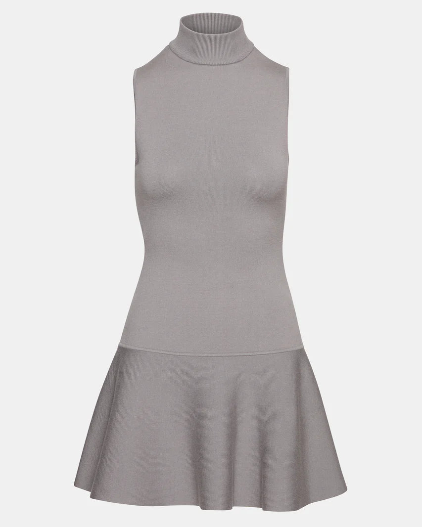 Gray sleeveless dress with a fitted bodice and flared skirt on a white background