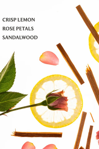 Spices and herbs with lemon slices, rose petals, and sandalwood on a white background