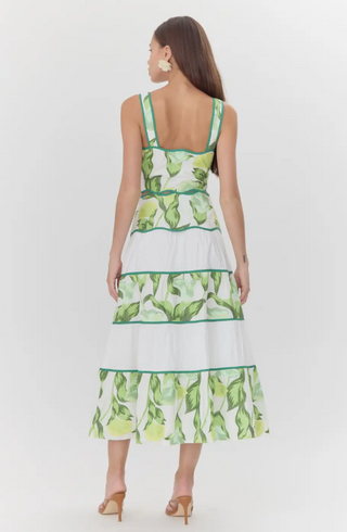 Daphne Crop Top back view showing fitted silhouette and trim details