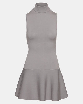 Gray sleeveless dress with a fitted bodice and flared skirt on a white background