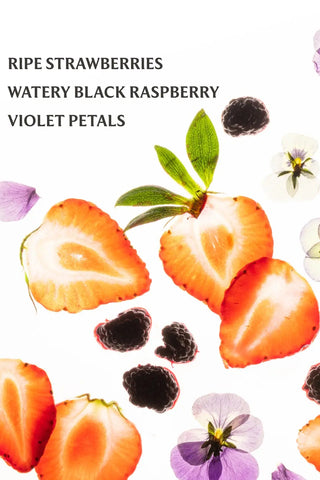 Illustration of ripe strawberries, black raspberries, and violet petals on a white background.
