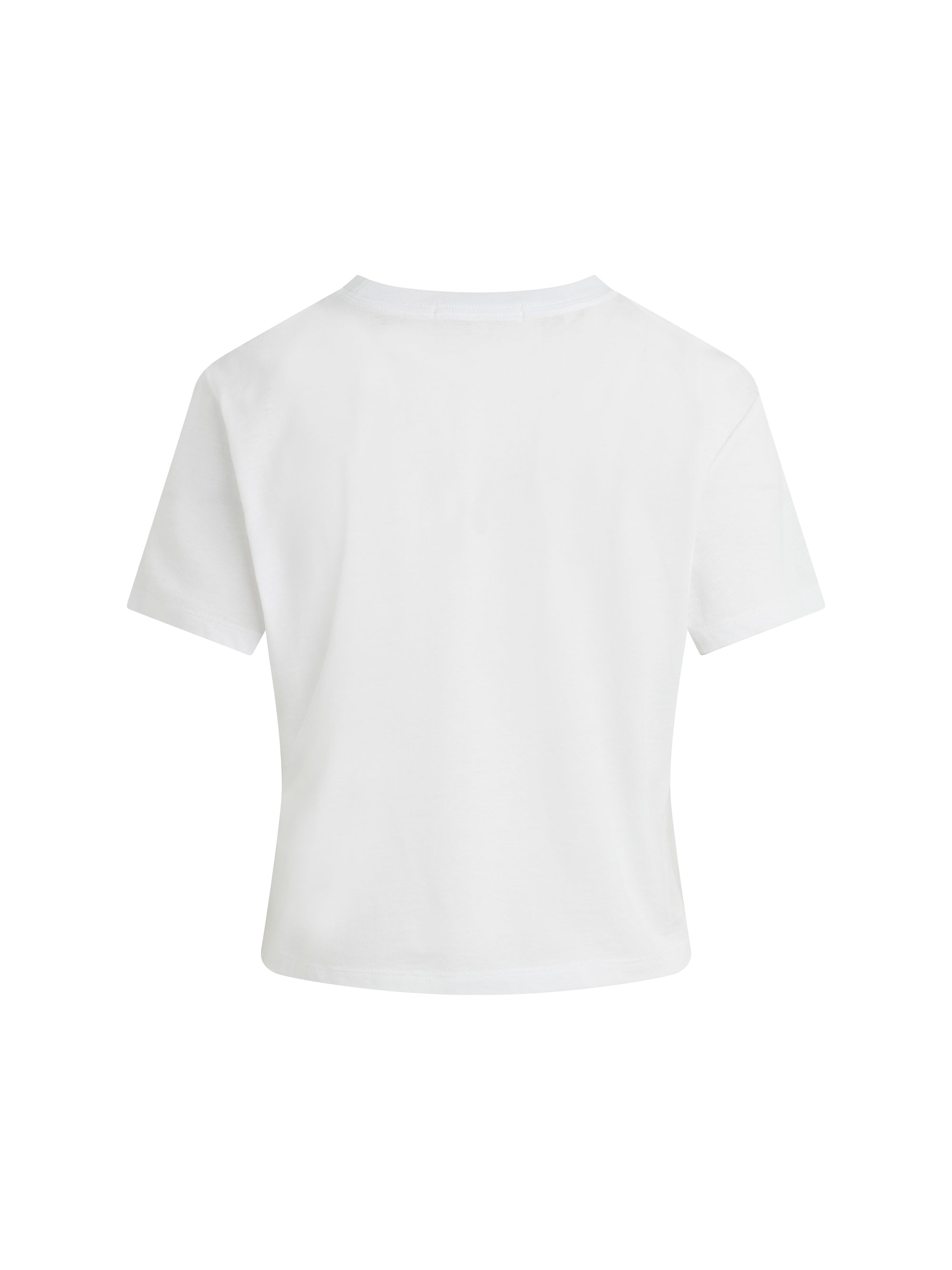 Back design of Favorite Daughter Cropped Collegiate Tee